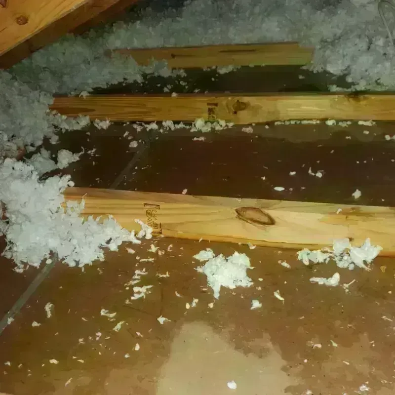 Attic Water Damage in Burnham, PA